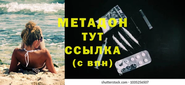 прущие грибы Белокуриха