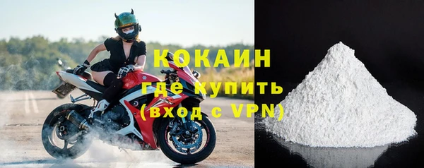 прущие грибы Белокуриха