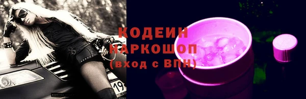 крисы Инсар