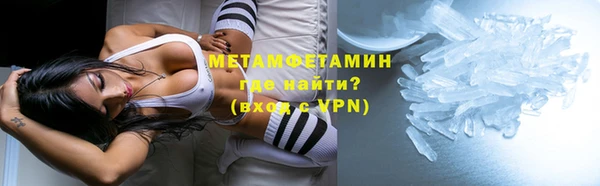 прущие грибы Белокуриха