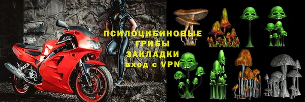 прущие грибы Белокуриха