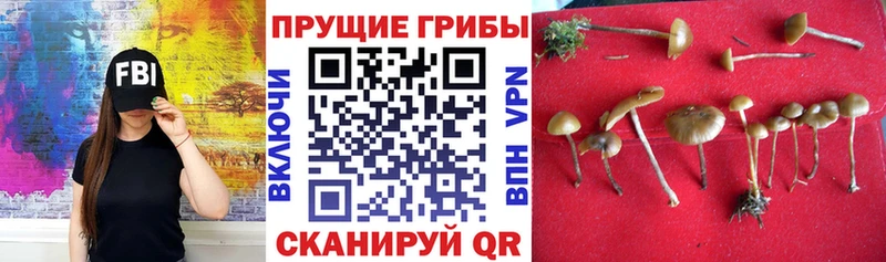 Галлюциногенные грибы мухоморы Пионерский